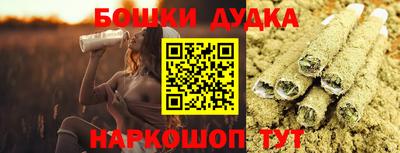 индика Рузаевка