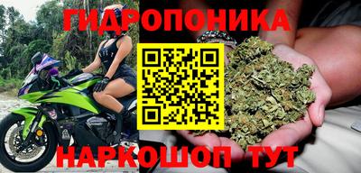 индика Рузаевка