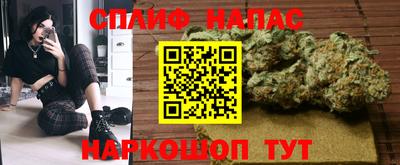 индика Рузаевка