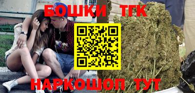 индика Рузаевка