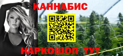 индика Рузаевка