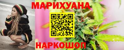 индика Рузаевка