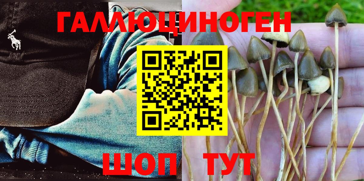 Галлюциногенные грибы MAGIC MUSHROOMS  Вход с VPN  Семёнов 